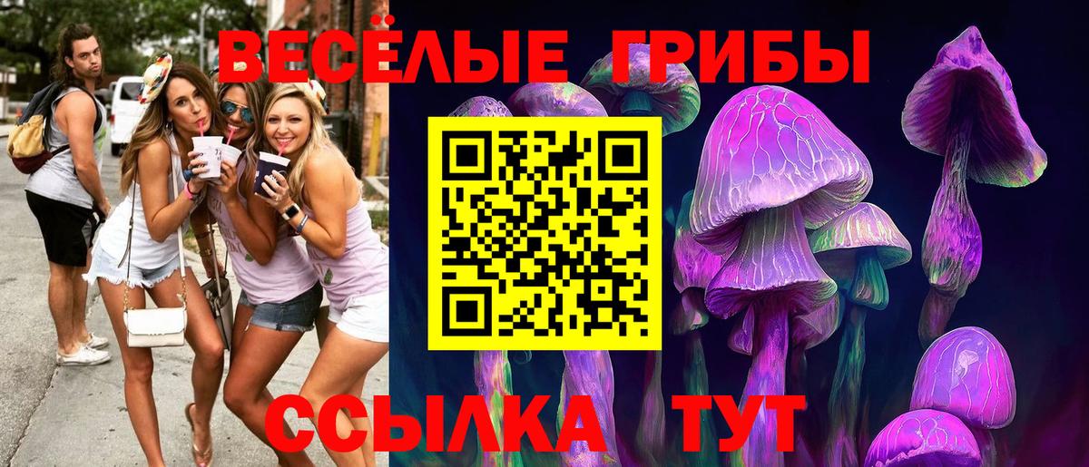 Псилоцибиновые грибы мицелий  Псилоцибиновые грибы Cubensis  Дятьково  Вход с VPN 